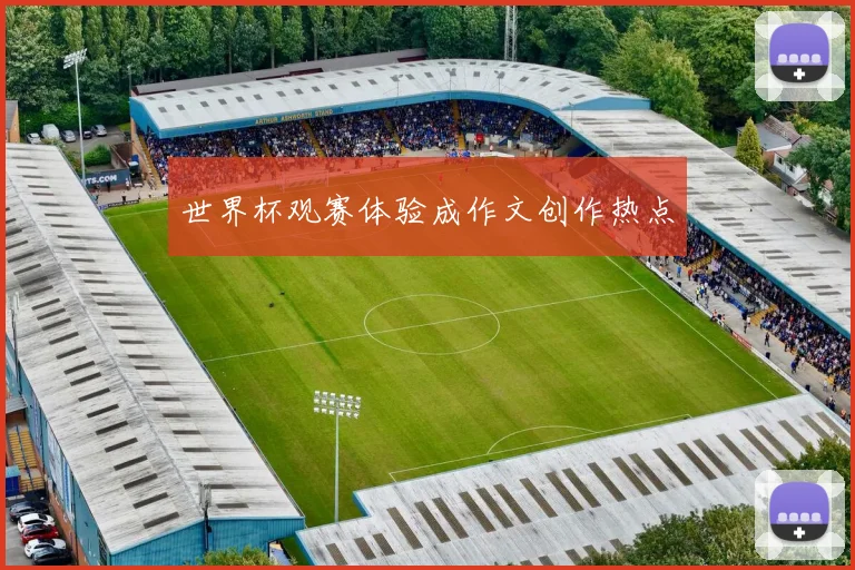 世界杯观赛体验成作文创作热点