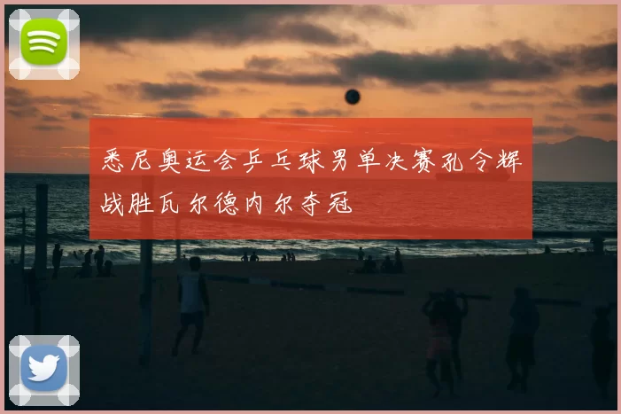 悉尼奥运会乒乓球男单决赛孔令辉战胜瓦尔德内尔夺冠