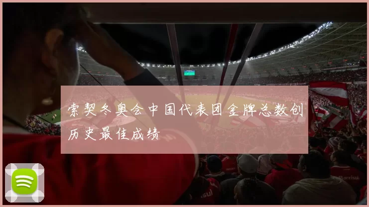 索契冬奥会中国代表团金牌总数创历史最佳成绩