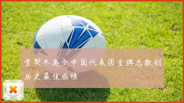索契冬奥会中国代表团金牌总数创历史最佳成绩