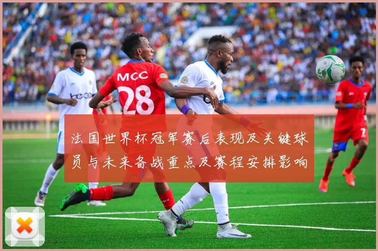 法国世界杯冠军赛后表现及关键球员与未来备战重点及赛程安排影响