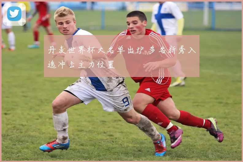 丹麦世界杯大名单出炉 多名新秀入选冲击主力位置